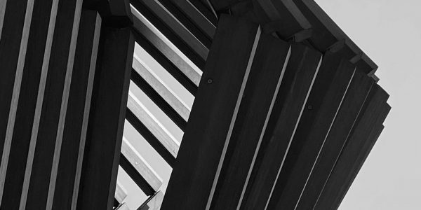 pexels-king-15785692